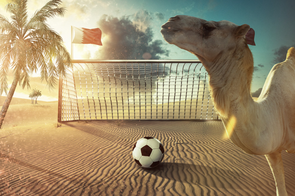 Fußball in Wüste mit Kamel © m.mphoto/AdobeStock
