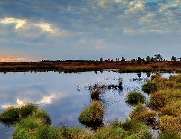 Blick auf eine Moorlandschaft. Im Vordergrund ist ein mit Pflanzen bewachsener See zu sehen. Im Hintergrung geht hinter einer Waldlandschaft die Sonne unter. © herbert2512 auf Pixabay