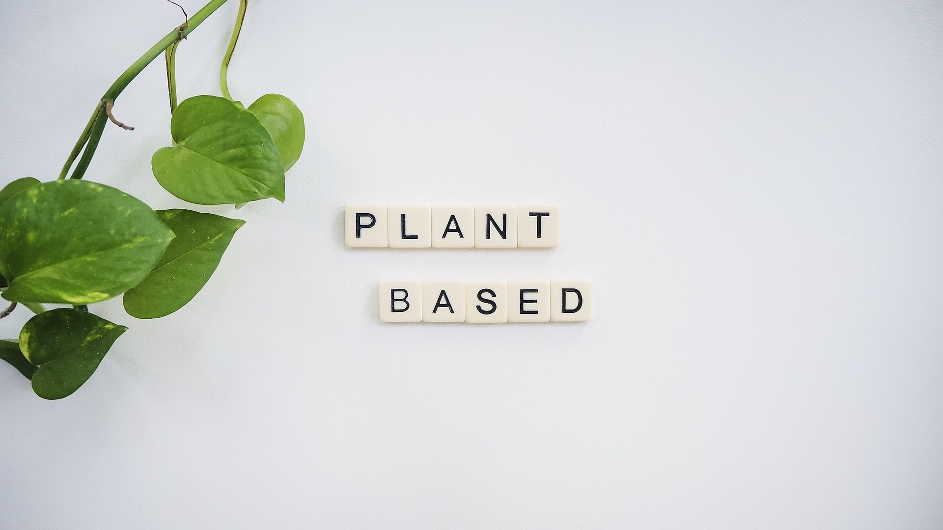 Schrift auf weißem Hintergrunf "plant_based" © Sean Hayes auf Pixabay