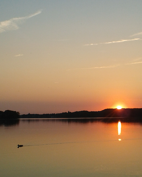 Sonnenuntergang am See mit Ente © Jugendinformationszentrum Hamburg (JIZ)/Angerer