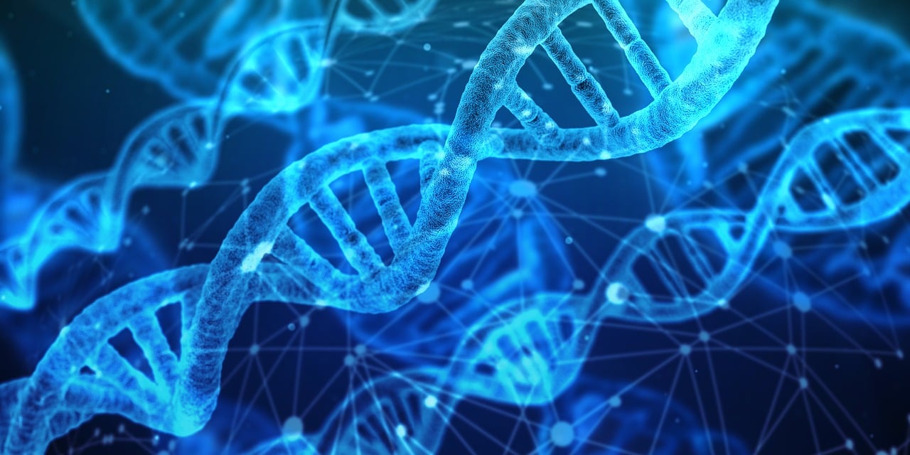 Abbildung einer DNA © Bild von Gerd Altmann auf Pixabay